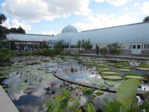 Lily pond in Conservatory courtyard.