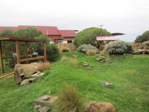 nesting boxes in hummocks for penguins