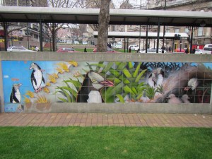 Yellow-eyed penguins celebrated in Dunedin 
