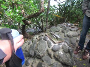 little blue penguin nesting box made of rock