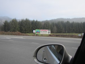 PIe and coffee--it is a siren song!