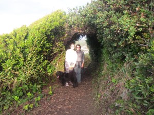 Friends framed by hedge archway