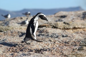 Photo by Mara V. Connolly