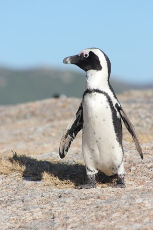 photo by Mara V. Connolly