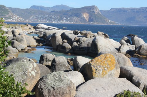 photo by Mara V. Connolly