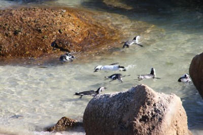 photo by Mara V. Connolly