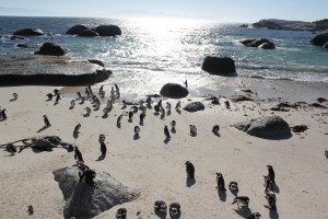 photo by Mara V. Connolly