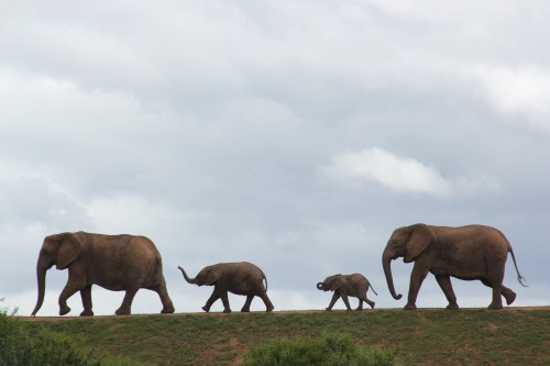 Photo by Mara V. Connolly