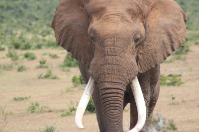 Photo by Mara V. Connolly