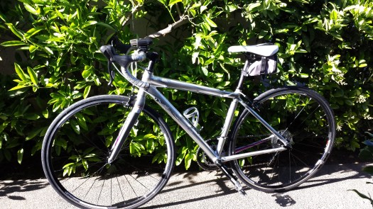 Trek Lexa S in Platinum