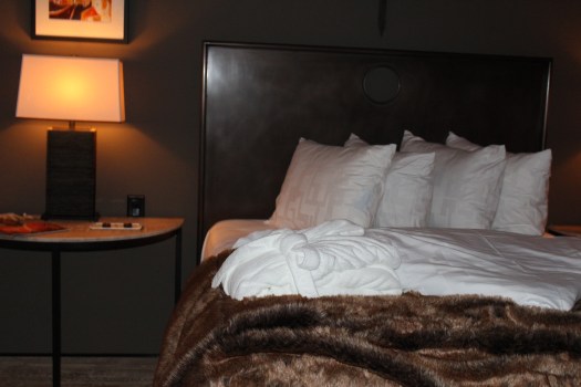 Comfort at Hotel Domestique