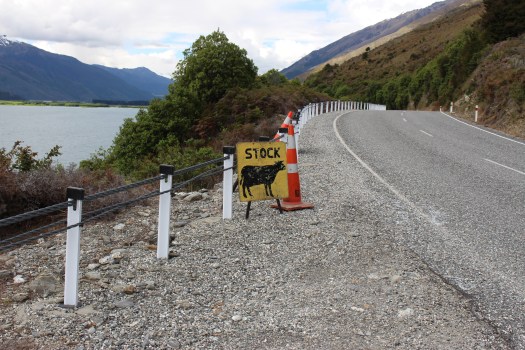 Cattle crossings are called Cattle stops.