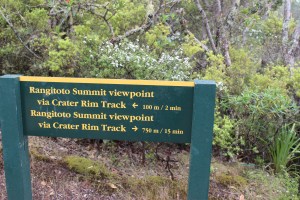 Near the top of Rangitoto