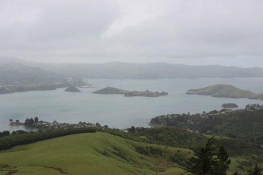 View from Room 18 at Larnach Castle lodging.