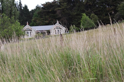 Beautiful home in Daisybank.
