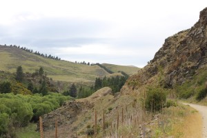 Rail Trail between Waipiata and Kokonga.