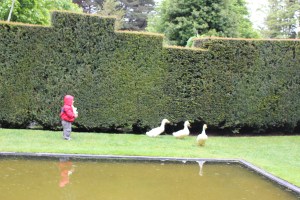 Larnach Catstle Garden, Dunedin, New Zealand