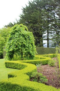 Larnach Catstle Garden, Dunedin, New Zealand
