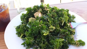 Kale and avocado salad