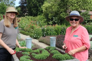 These two volunteers are members of the local Bonsai club and maintain the bonsai knot garden.