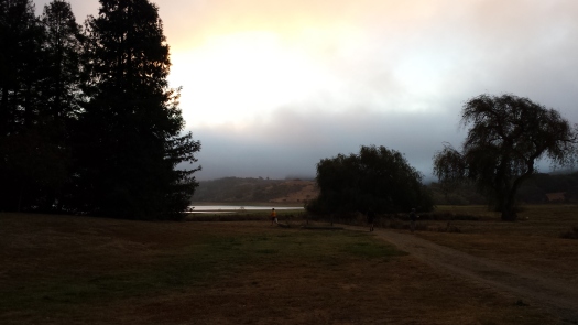 Misty morning start for the Jensie Gran Fondo  at Stafford Lake in Marin County