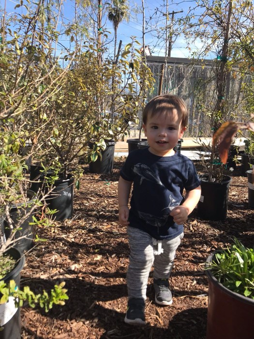 72d1407c-f0af-4696-9082-14ab161b3a94