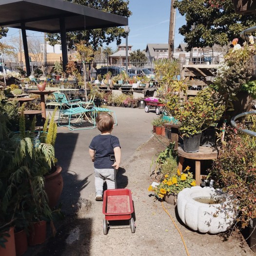 b61eeea5-c8d5-4e6c-80c7-689460b67ea6