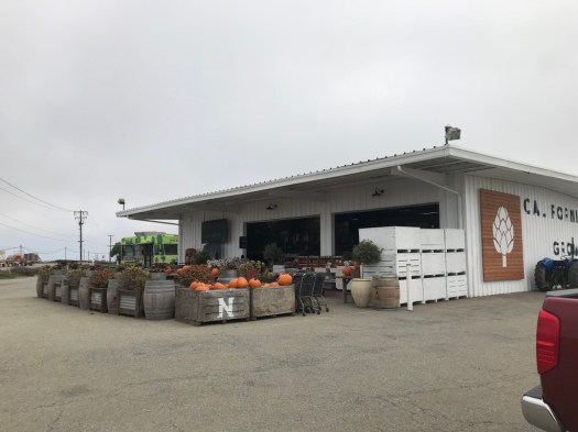 UNADJUSTEDNONRAW_thumb_2875