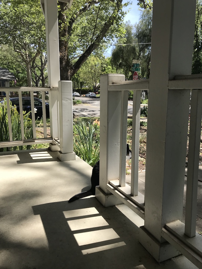 UNADJUSTEDNONRAW_thumb_2e45